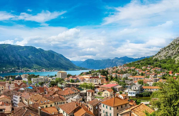 Panorama Miasta Kotor Piękny Letni Dzień Czarnogóra — Zdjęcie stockowe