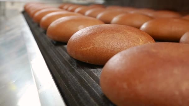 Forró kenyér loafs mozgó a sütőből szállítószalag — Stock videók