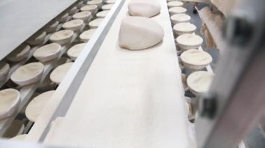 Bir fırında pişirme önce ham daugh