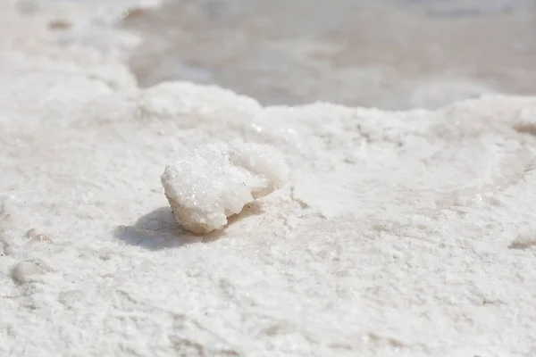 Cristais de sal naturais no Mar Morto — Fotografia de Stock