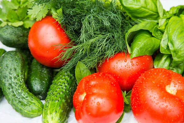 Verduras frescas húmedas cultivadas en casa — Foto de Stock