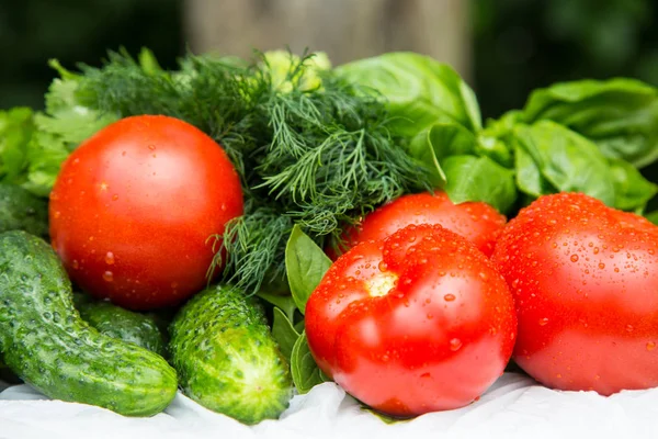 Verduras frescas húmedas cultivadas en casa Imágenes De Stock Sin Royalties Gratis