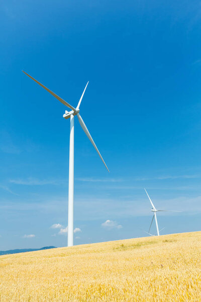 Wind turbines in a wheat field 