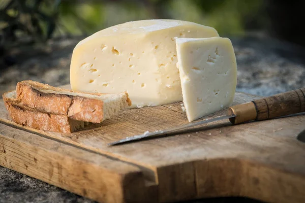 Traditional Portuguese soft cow cheese — Stock Photo, Image