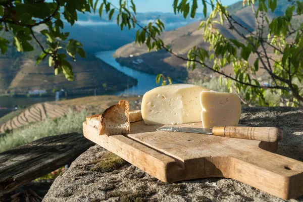 Fromage de vache à pâte molle portugais traditionnel Images De Stock Libres De Droits