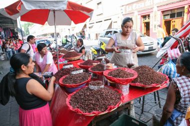 Çekirge (chapulines) üzerinde yerel bir pazarda satan kadınlar kurutulmuş 