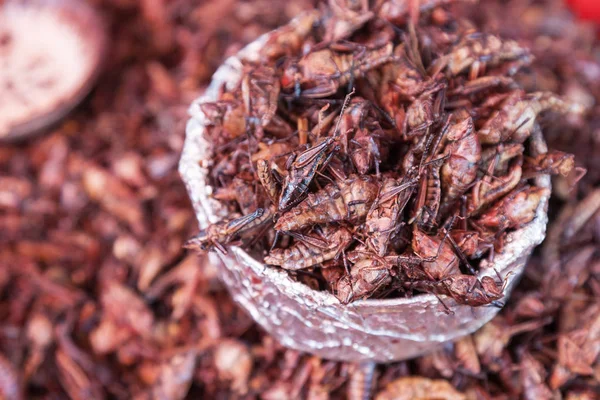 Stekte gresshopper (chapuliner) i Oaxaca, Mexico – stockfoto
