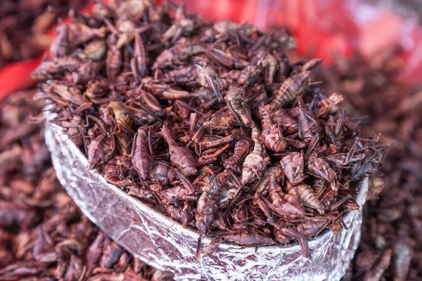 Oaxaca, Meksika için kızarmış Grasshoppers (Chapulines) — Stok fotoğraf