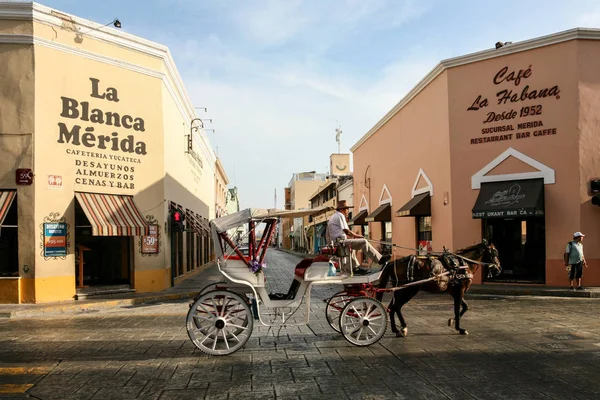 Häst vagnar på en morgon stadsgata i Mérida, Mexico — Stockfoto