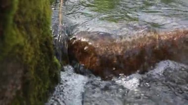 Taşlar arasında çalışan küçük bir nehir su