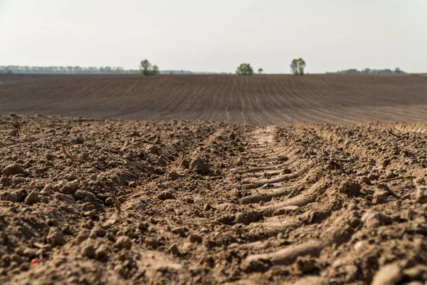 Kilátás a szántott területeken a traktor gumiabroncs pálya. — Stock Fotó