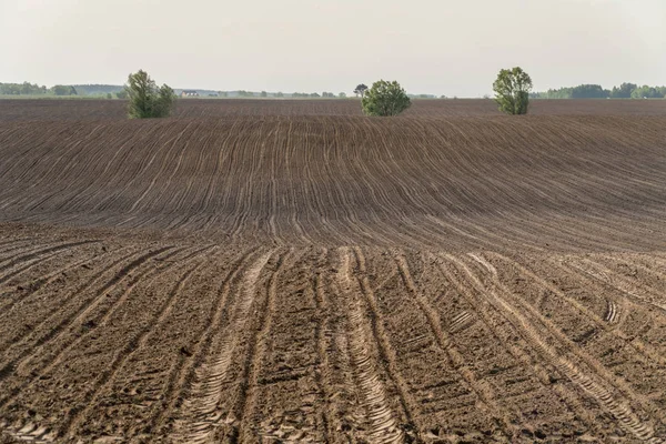 Vista de un campo arado en primavera — Foto de Stock