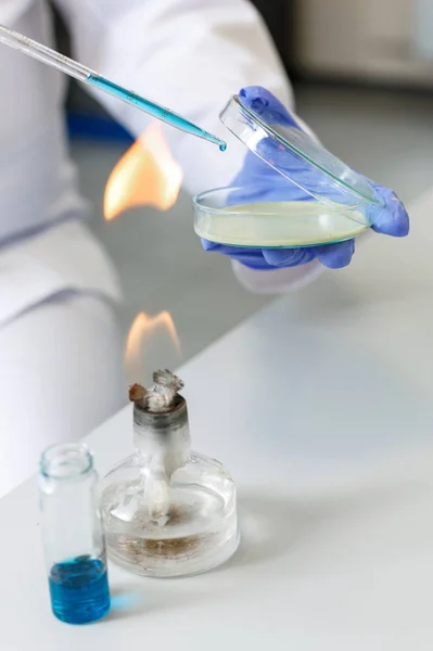 Βοηθός εργαστηρίου αναλύει το δείγμα βακτηρίου χρησιμοποιώντας ιατρική equ — Φωτογραφία Αρχείου