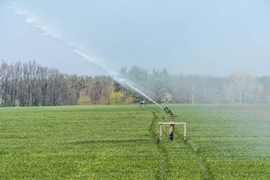 Paten yolu otomatik sulama tabancası bahar mevsiminde çiftçinin tarlasını sulıyor. Tarım sisteminde fıskiye sulama sistemi