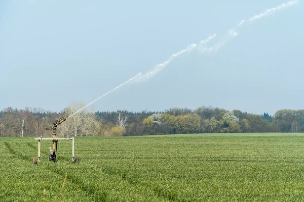 Rollaway automatic sprinkler watering gun irrigating farmer\'s field in spring season.  Sprinkler irrigation system in agriculture