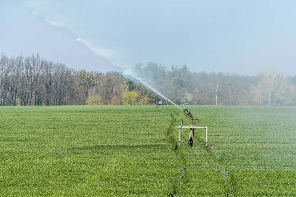 Pistola Rega Automática Aspersão Rollaway Irrigando Campo Agricultor Temporada Primavera — Fotografia de Stock