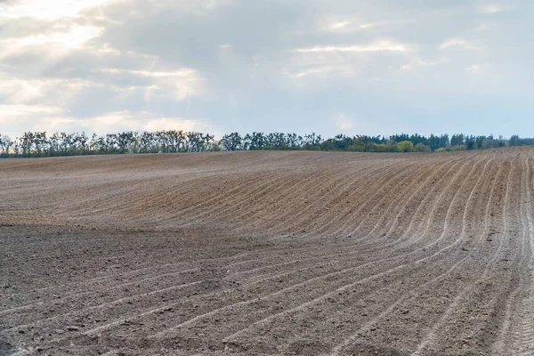 Wiosną Uprawiane Jest Suche Czarne Pole Glebowe Koncepcja Przemysłu Rolnego — Zdjęcie stockowe