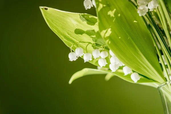 Tutup Pandangan Buket Bunga Lili Lembah Bunga Dengan Latar Belakang — Stok Foto