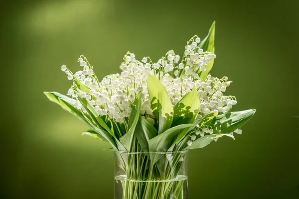 緑の背景にガラスの花瓶に谷のユリの花束 — ストック写真