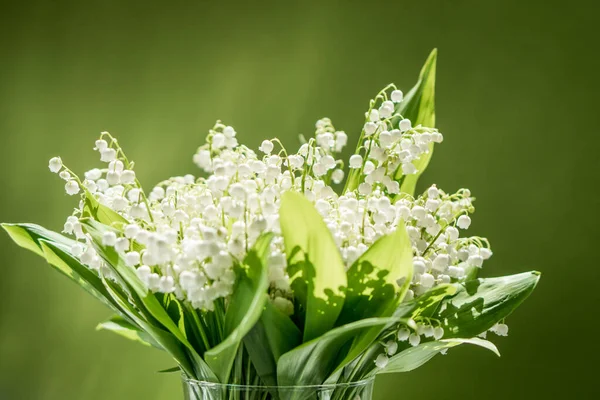 Bouquet of lilies of the valley in a glass vase on a green background