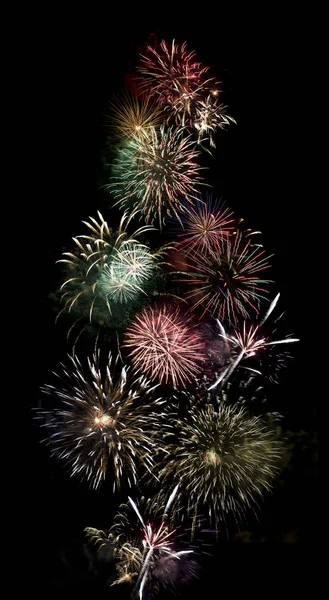 Beautiful fireworks explode — Stock Photo, Image