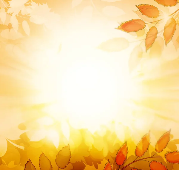 Осенний осенний фон — стоковое фото
