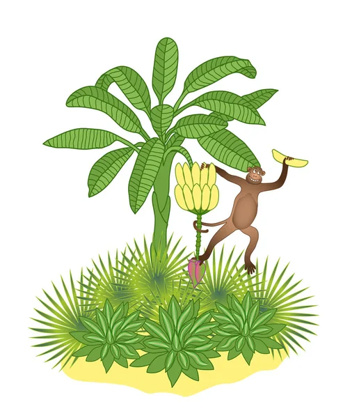 Banaan palm en aap — Stockvector