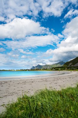 Plaj Lofoten adalar Adaları beach