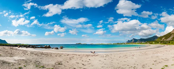 Beach Lofoten archipelago islands beach — Stock Photo, Image