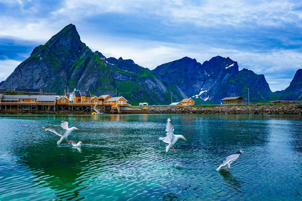 Lofoten egy szigetvilág a megyei Nordland, Norvégia — Stock Fotó