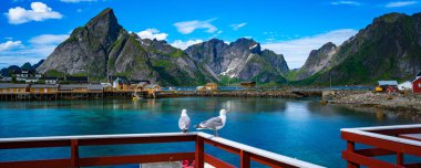 Lofoten is an archipelago in the county of Nordland, Norway. Is known for a distinctive scenery with dramatic mountains and peaks, open sea and sheltered bays, beaches and untouched lands. clipart
