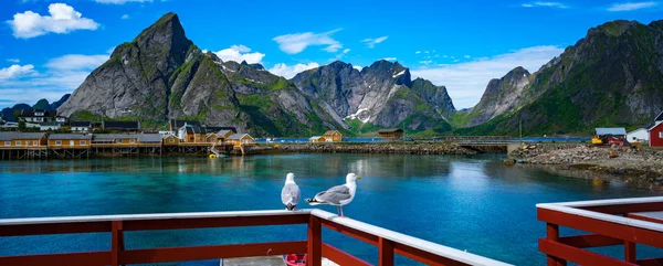 Lofoten è un arcipelago della contea di Nordland, in Norvegia. È noto per un paesaggio caratteristico con montagne e cime spettacolari, mare aperto e baie riparate, spiagge e terre incontaminate . — Foto Stock