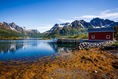 Lofoten adalar Adaları Norveç