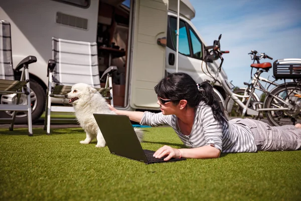Mujer en la hierba con un perro mirando un portátil —  Fotos de Stock