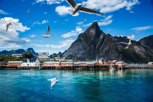 Lofoten souostroví ostrovů ostrovy Norska — Stock fotografie