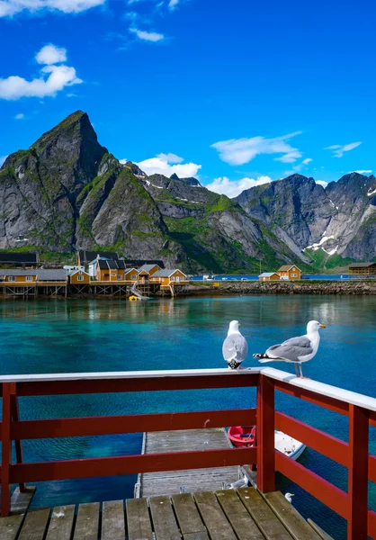 Lofotens skärgård öar öarna Norge — Stockfoto