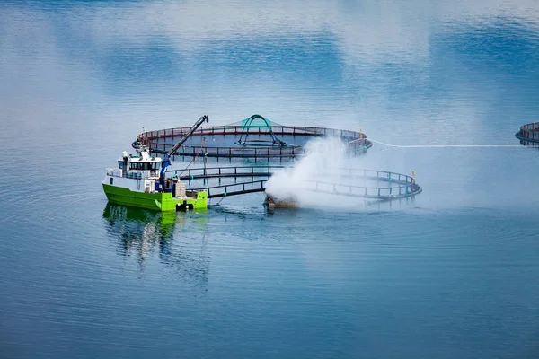 Pesca do salmão de exploração — Fotografia de Stock