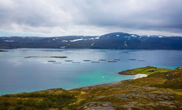 Jordbrukslaxfiske — Stockfoto