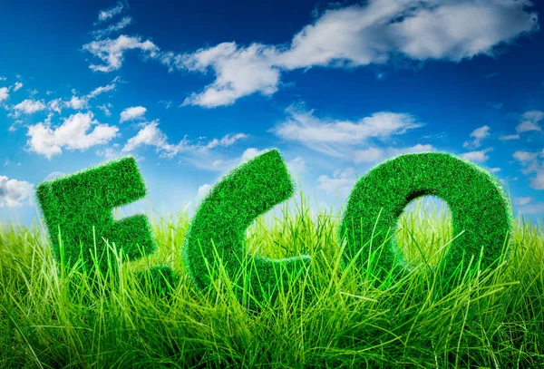 Buchstaben auf dem grünen Gras am blauen Himmel — Stockfoto