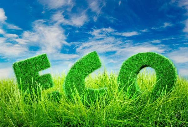 Eco concetto Lettere sull'erba verde su sfondo cielo blu . — Foto Stock