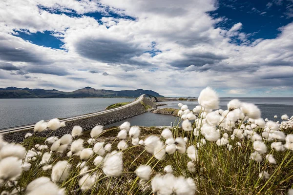 Atlantic Ocean Road Noruega — Fotografia de Stock