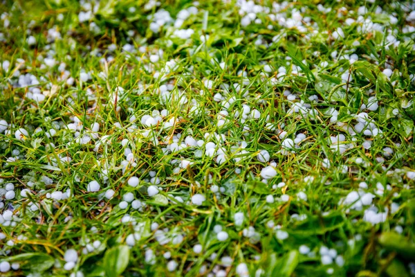 草の上の雹 — ストック写真