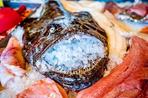 Mercato del pesce frutti di mare — Foto Stock