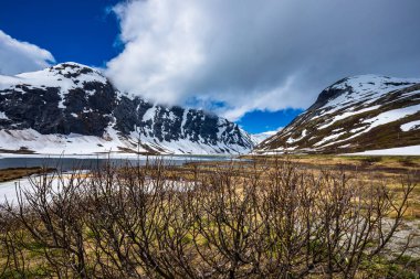 Güzel doğa Norveç.