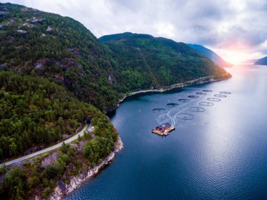 Çiftlik Somon Balık tutma