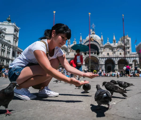 Woman tourist feeding pigeons in the square - St. Marks Square - — Stock Photo, Image