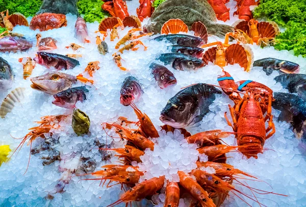 Різні морепродукти на полицях рибного ринку — стокове фото