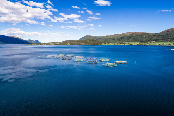 Farm salmon fishing Aerial FPV drone photography.