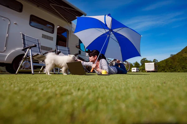 Mujer en la hierba con un perro mirando un portátil — Foto de Stock