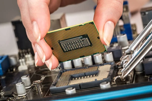 Modern processor och moderkort — Stockfoto